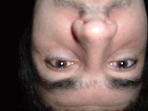 rob