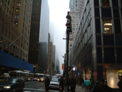the mist