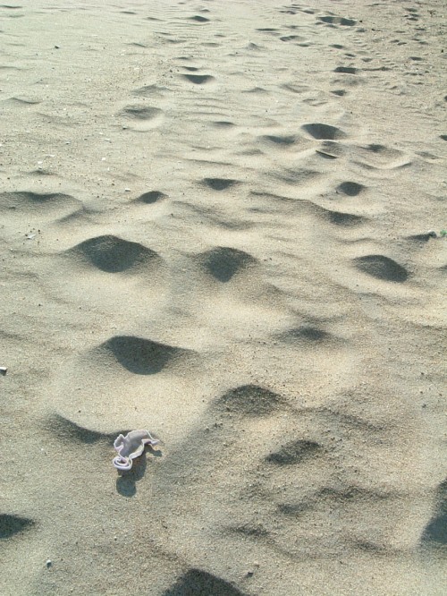 debris