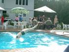 splash