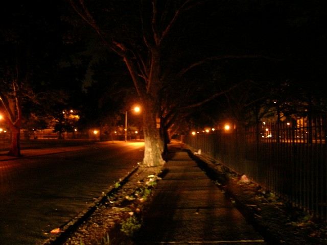 mccarren park