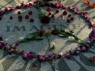 strawberries, guitar picks and flowers