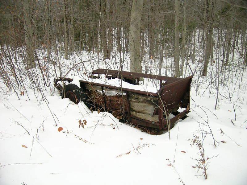 i found this in the woods