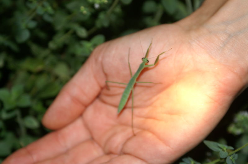 he was a little bugger