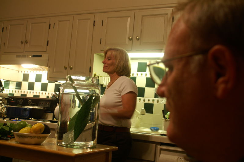 my mom and dad