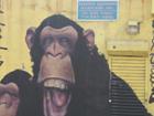 bad brains apes
