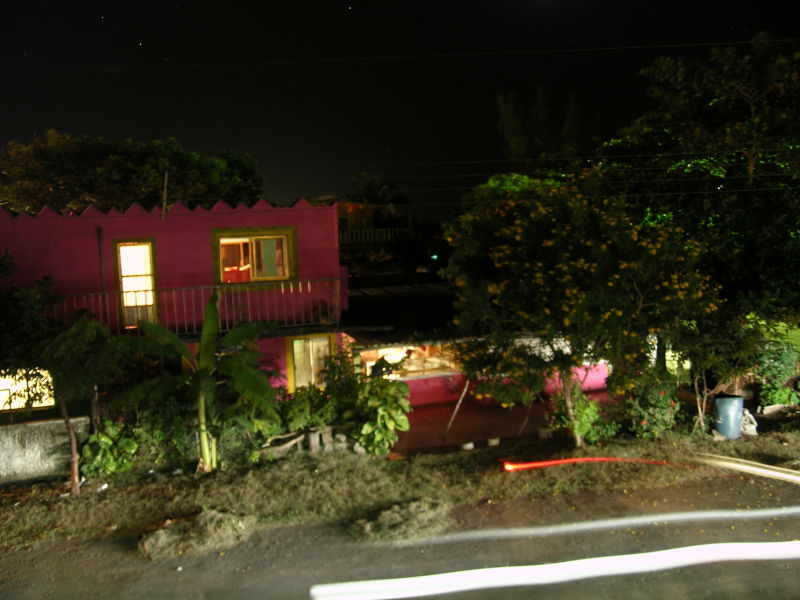 Chachalacas