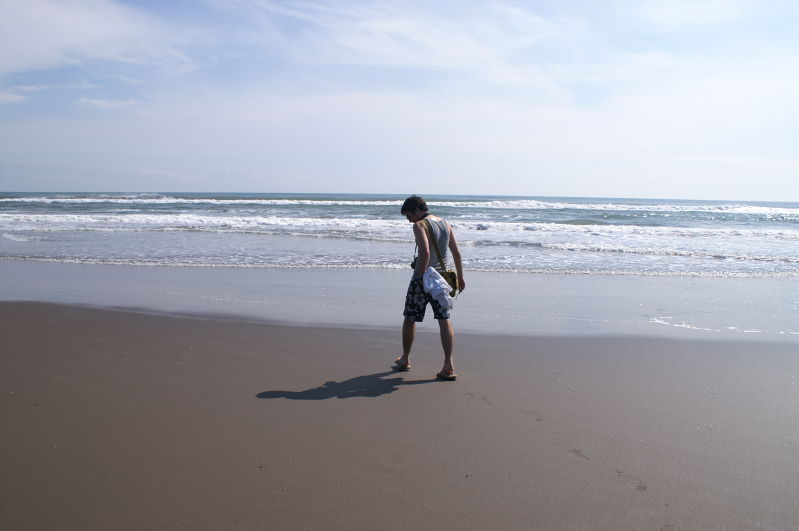 Chachalacas