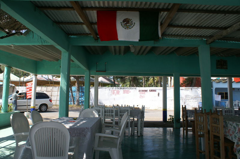 Chachalacas