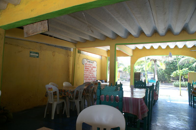 Chachalacas