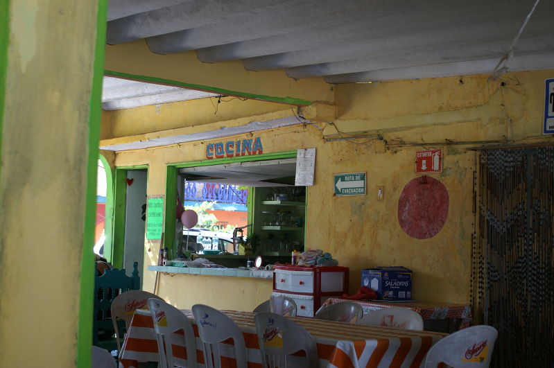 Chachalacas