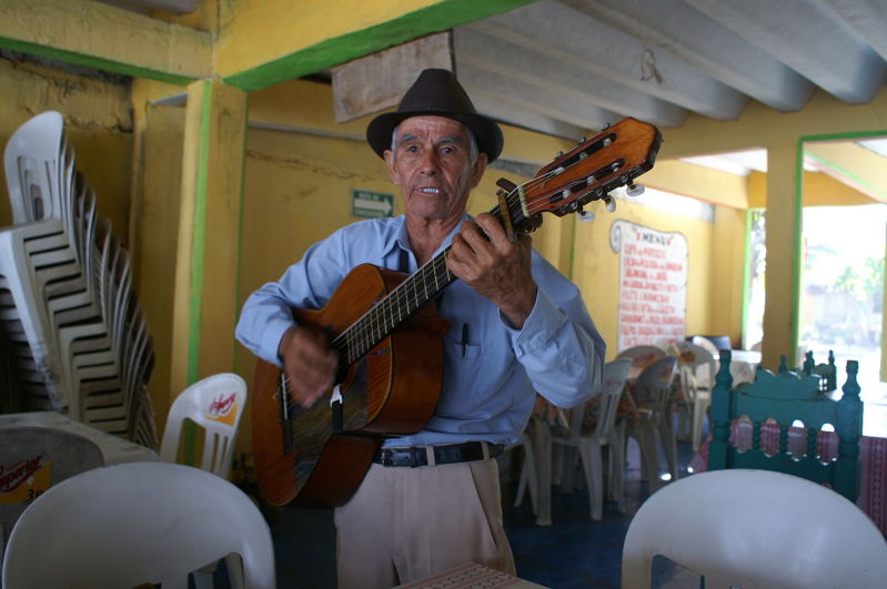 Chachalacas