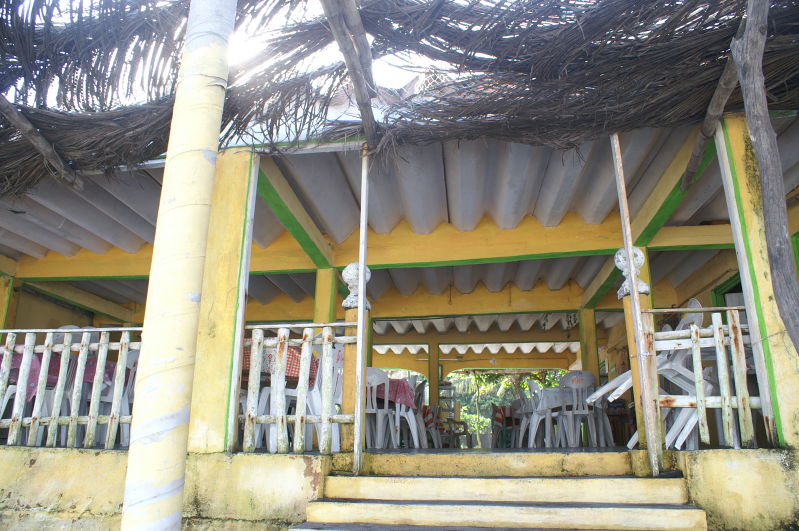 Chachalacas