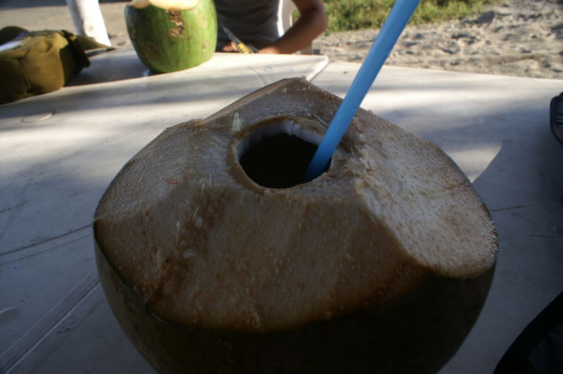 Chachalacas