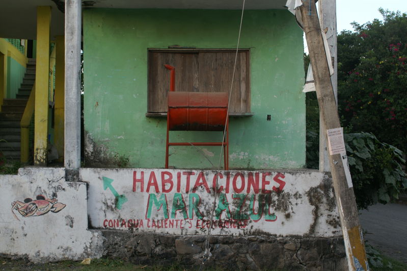 Chachalacas