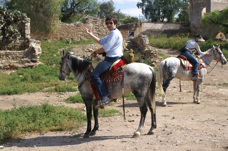 Mineral de Pozos