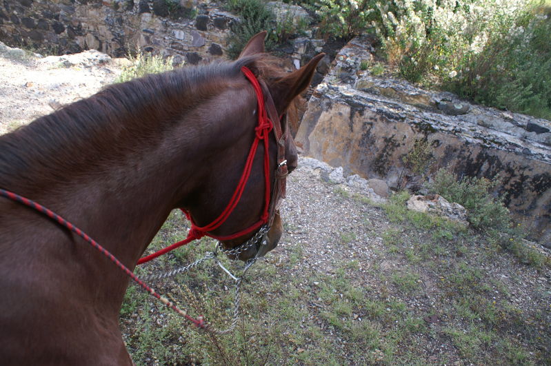 Mineral de Pozos