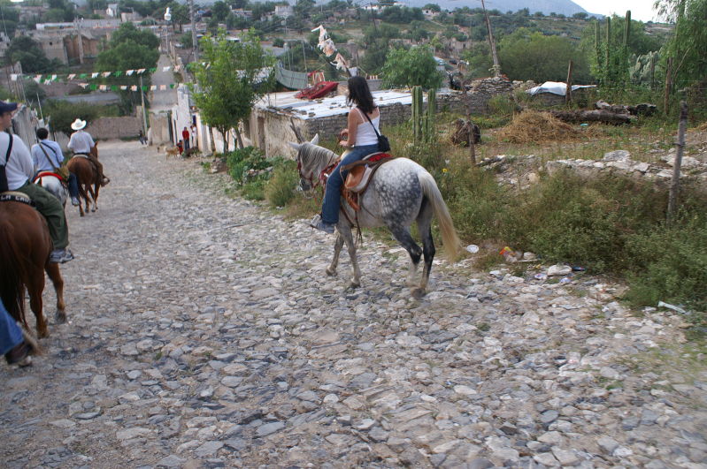 Mineral de Pozos