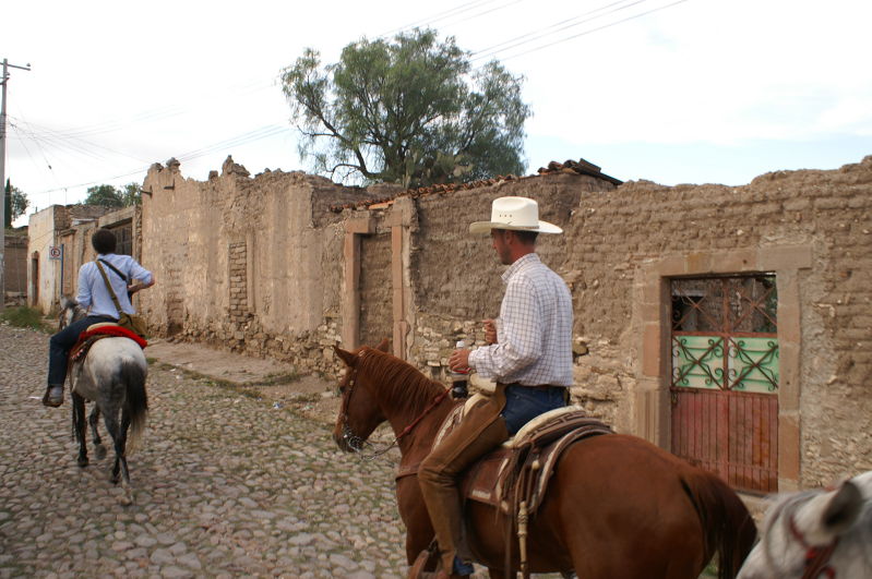 Mineral de Pozos