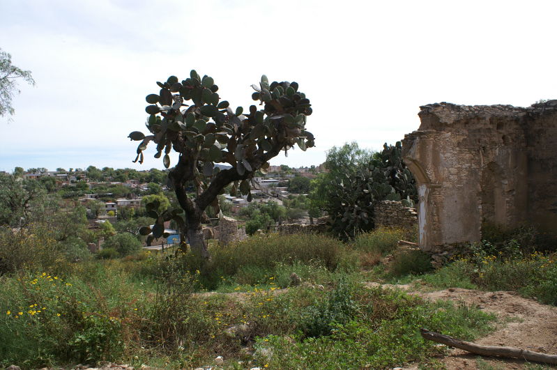 Mineral de Pozos