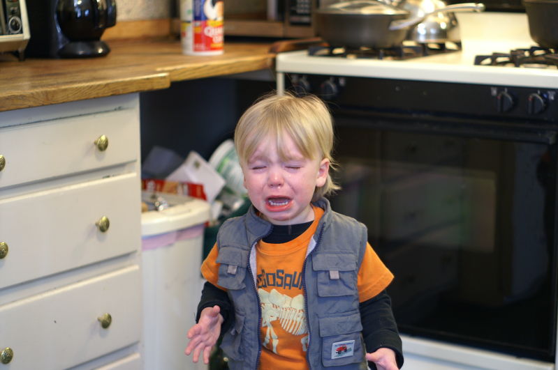 because he hadn't yet been offered the right kind of candy
