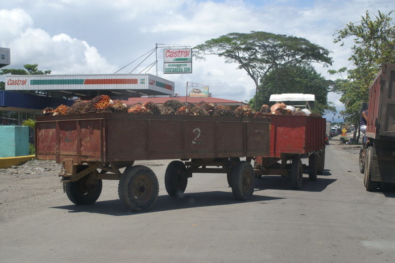 stuck in a traffic jam