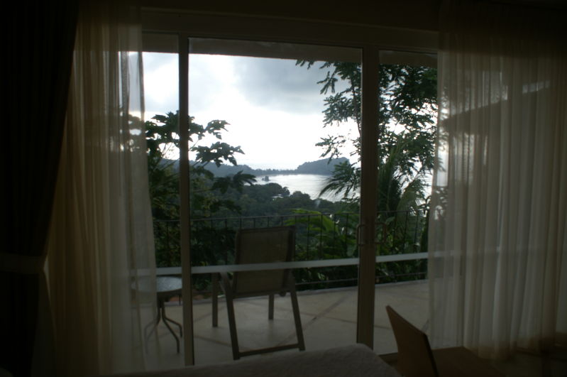 the view from the old room